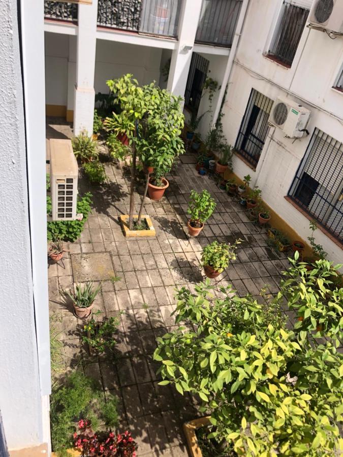 Apartamento Plaza Santa Lucia Renovado Febrero 2025 Seville Exterior photo